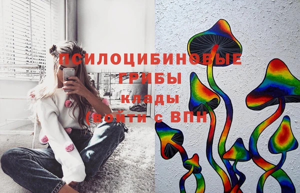 apvp Абинск