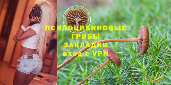 шишки Алзамай