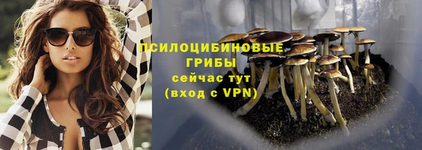 шишки Алзамай