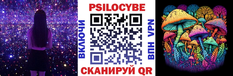 Галлюциногенные грибы Psilocybe  мега сайт  Пучеж 